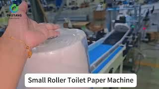 Economic High Efficiency Full Automatic Big Roller Toilet Paper Machine [upl. by Anuhsal882]