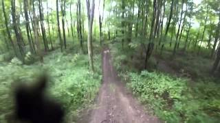 NECXC Bruceton Mills Youth ATV Brayland [upl. by Lenno]