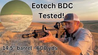 Eotech exps34 bdc tested 145quot barrel to 600yds [upl. by Erej]