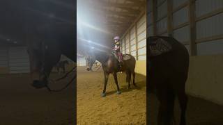 2nd horse lesson🐴 [upl. by Llevra64]