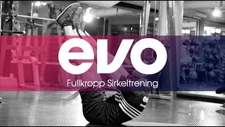 Sirkeltrening fullkropp treningprogram  EVO [upl. by Aremmat]