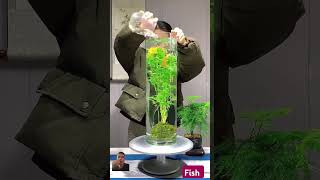 aquarium aquariamfish plants aquriamfish aquascape fishtank fish plantedtank [upl. by Ydaj]