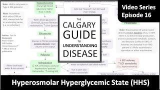 Hyperosmolar Hyperglycemic State HHS [upl. by Moon]