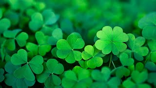 Happy Irish Music – Saint Patricks Day  Celtic Cheerful ☘️ [upl. by Mulcahy323]