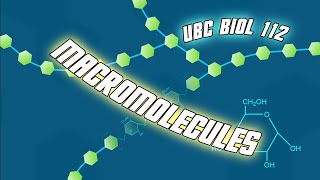 Introduction to Macromolecules updated  Biol 112 at UBC [upl. by Bianchi]