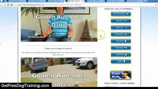 Doggy Dans Online Dog Trainer Review  Doggy Dans 5 Golden Rules [upl. by Adnamal]