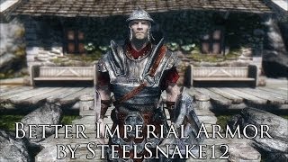 TES V  Skyrim Mods Better Imperial Armor by SteelSnake12 [upl. by Reteid482]