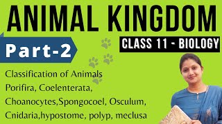 Animal Kingdom Class 11 Biology  Full Chapter  NEET  Part2 [upl. by Hgielrebma599]