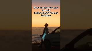 shayariloveviralvideoshayari shorts sham ki udasi mein gam ka mela [upl. by Oelgnaed]