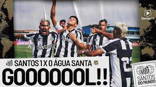 SANTOS 1 X 0 ÁGUA SANTA  GOL  COPINHA 170123 [upl. by Wivina450]