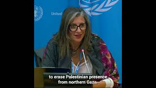 Special Rapporteur Albanese highlights the dire situation of Palestinians in Gaza  United Nations [upl. by Yrol]