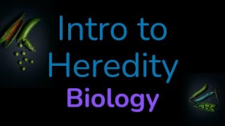 Intro to Genetics amp Heredity  Biology Living Environment [upl. by Higginson360]