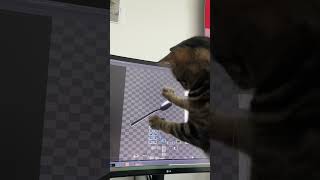 My cat playing with Touchdesigner td [upl. by Liahkim]