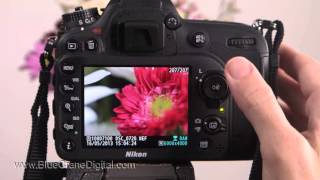 Introduction to the Nikon D7100 Basic Controls [upl. by Akemor]