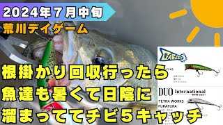 根掛かり回収行ったら魚達も暑くて日陰に溜まっててチビ５キャッチ／荒川／デイゲーム／シーバス釣り／湾奥 [upl. by Yemrots]