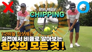 12비율 칩샷레슨  ALL ABOUT CHIPPING [upl. by Aierbma]