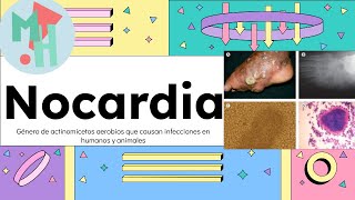 Nocardia¡Conoce a la bacteria que parece hongo [upl. by Aseyt]