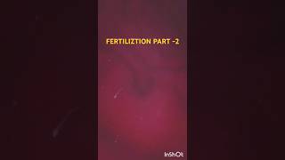 FERTILIZATION PART 2 shortvideo infertility sperm drrimmi90 [upl. by Hekker]