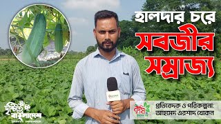 ফটিকছড়ির হালদা নদীর বিস্তীর্ণ চরে কৃষি সম্রাজ্য। [upl. by Reiko]