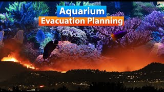 Aquarium  Planning for and Surviving an Evacuation [upl. by Kciwdahc145]