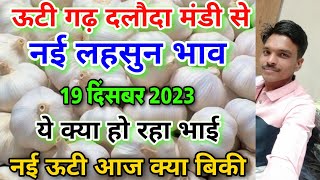 दलौदा मंडी आज का नई ऊटी लहसुन भाव 19 दिसंबर 2023  new garlic rate today  new ooty garlic rate [upl. by Kazmirci]