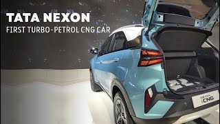 Nexon Cng 2024 Spotted  Nexon CNG Launch Date in India 2024  Nexon Cng New Model  Nexon cng 2024 [upl. by Maighdiln]