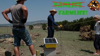 FARMARBEIT in Mexiko 🤠  mit und bei Sebastian von EcoMex TV 😁 [upl. by Hgielac732]