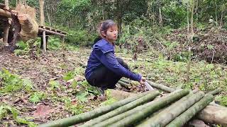 TIMELAPSE Single girl lives alone in the wild forest Build farms harvest foods to sell [upl. by Eddy]