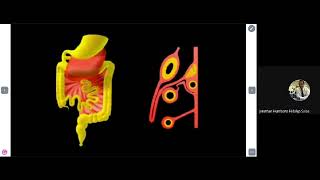 Embriología Gastrointestinal [upl. by Nomelc]