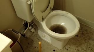 TOILET BACK UP video [upl. by Llerdnam]