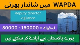 WAPDA New Jobs 2024  Latest WAPDA Jobs Apply Now  WAPDA Jobs in Pakistan [upl. by Gerrit955]