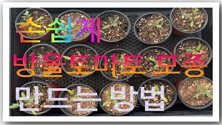 손쉽게 방울토마토 모종 만드는 방법 Easy way to make cherry tomato seedings [upl. by Larred699]