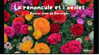 Fable La renoncule et loeillet PierreJean de Béranger [upl. by Aufmann965]