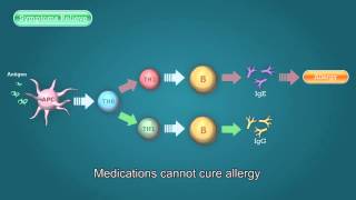 Allergy allergy drug allergy medication allergt treatement  CAAC [upl. by Annalee]