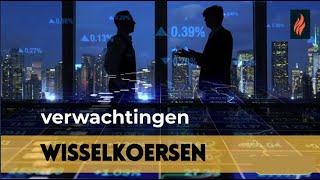 Wisselkoersen  verwachtingen [upl. by Ile]