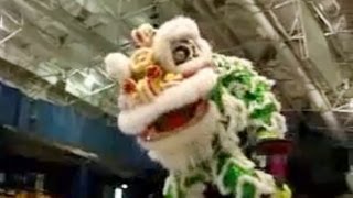 World Lion Dance Championship Qualifying 2 [upl. by Hoffmann203]