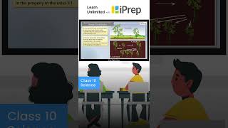 Monohybrid Cross  Heredity And Evolution  Science  Class 10  iPrep iprep science [upl. by Arerrac]