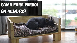 CAMA PARA PERROS CON PALETS   Empo  EP36 [upl. by Francine]