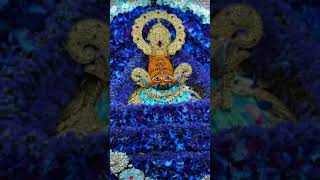 Syam janmotsav shyambabal love shyamba hindudeity [upl. by Nosbig]