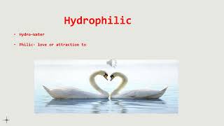 Hydrophilic vs Hydrophobic [upl. by Cilla100]