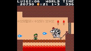 Super Luigi Land DX  Luigi vs Dry Bowser [upl. by Chretien]