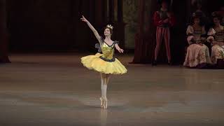 Sleeping Beauty Mariinsky Ballet 4th and 5th fairy variations S Russkikh S Guseinova [upl. by Fihsak]