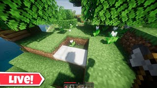 PLAYING MINECRAFT JAVA WITH SHEDERS LIVE EVILSTEVE Live Stream [upl. by Jabin]