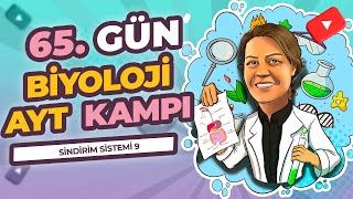 AYT KAMPI  11 SINIF  65 GÜN  SİNDİRİM SİSTEMİ 9  BESİNLERİN EMİLİMİ [upl. by Lillis]