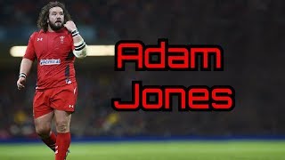 Adam Jones Tribute 2018 [upl. by Eidissac]