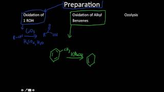 carboxylic acids and amino acids [upl. by Sirtimid]