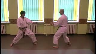 Heian Godan kata bunkai 1 [upl. by Glynnis894]