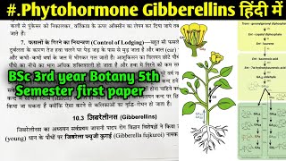 Gibberellins function and Mode of Action in Hindi  BSc 3rd year Zoology 5th Semester 1st Paper [upl. by Candide]