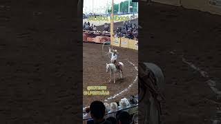 Charros rodeo caballos manganas a caballo botines chpestañas [upl. by Grane]