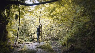 Dollar Glen to see the wee timorous beastie [upl. by Husha971]